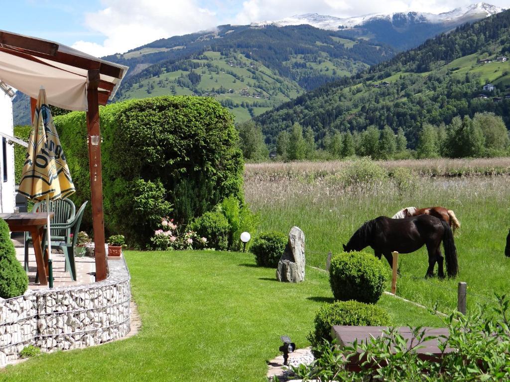 Appartement Plattner Zell am See Exteriér fotografie